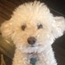 Eagle Rock Mom (@ccmom3) Twitter profile photo Eagle Rock Mom (@ccmom3) Twitter profile photo