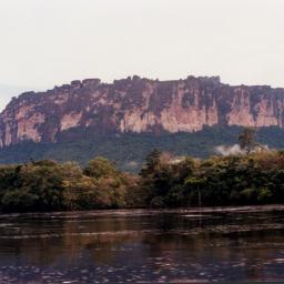 MiguelPortudosS's profile picture. 