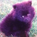 john cabral - @FirstgearJohn - Twitter