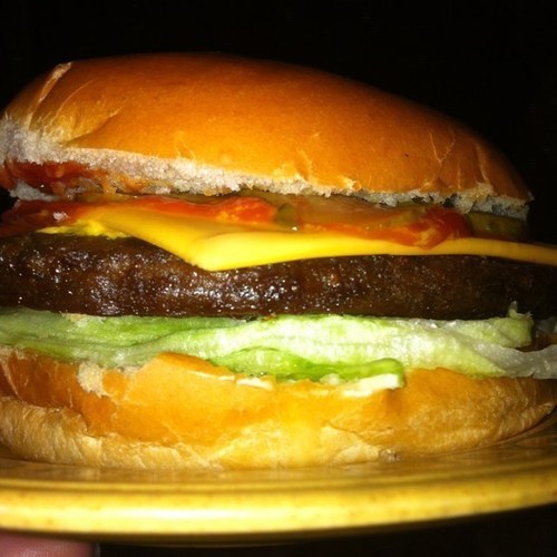 Hi, I'm Hamburger, if you love me (hamburgers) follow me. I'll tweet of burgers and only burgers.