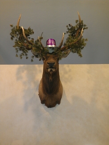 ImMeYouAreNot's profile picture. To be honest, I made this account so I can tweet what the hell I want without offending people. If you get offended, just unfollow me. It's not a big deal.