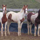 Amy Malik - @AmyMalik91 - Twitter