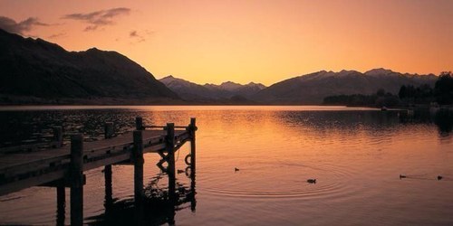 rachhendy's profile picture. 