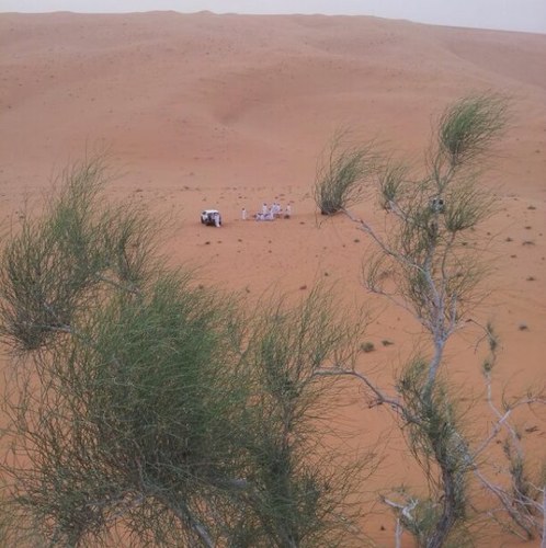 لا تشتكي الأيام  فليس لها بديل ولا تبكي على الدنيا مادام اخرها رحيل