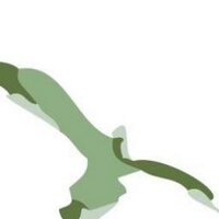 Arditodesio (@arditodesio) 's Twitter Profile