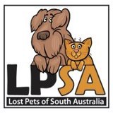 Lost Pets SA