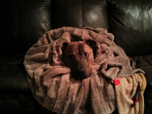 Ziploc24's profile picture. I play video games.