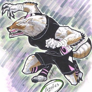 CarlowCoyotes's profile picture. IT Carlow and Carlow FC Women's #rugby team. Competing in AIL2 2014/15  Leinster club of the year 2013. New members welcome Tues&Thurs 7pm Oak Park!