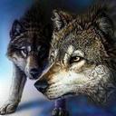 Randall Dennis - @randen38 - Twitter