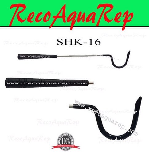 recoaquarep's profile picture. 