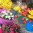 barbara_gerace's profile image