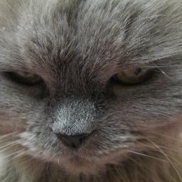 Rich063_'s profile picture. E-business & E-marketing, Affiliate Marketing, E-commerce,  Video Marketing,  Article Marketing, Auctions, Banners, Email Marketing,  Social Media Marketing