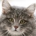 Patricia Hood - @priscilla_hood - Twitter