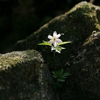 김명남 (@kimnam29) 's Twitter Profile