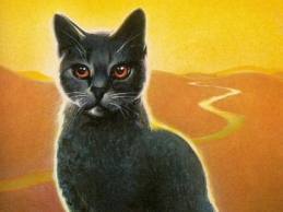 Strong, brave, gray she cat. brother was murderered by dawnstar. I am a loyal warrior 2 Rainstar. may starclan light his path.Mom-Puddlestream Dad-iceclaw