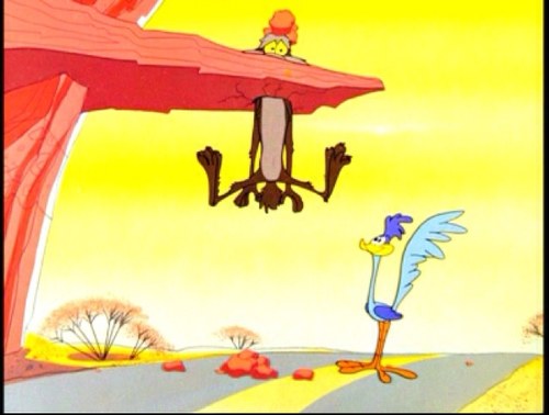 wileycoyote2011's profile picture. Camping, fishing, bowling.almost anything