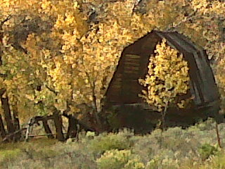 terri_franks's profile picture. 