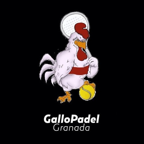 GalloPadel's profile picture. Grupo de amigos que, con el objetivo común del padel, han creado una liga con gracia y salero. Pitirras, gallos, gallinas, pollitos. Todos con el #padel.