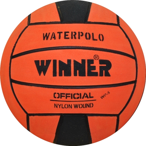 Ohio Northern University's club water polo team