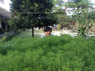 Trip trip