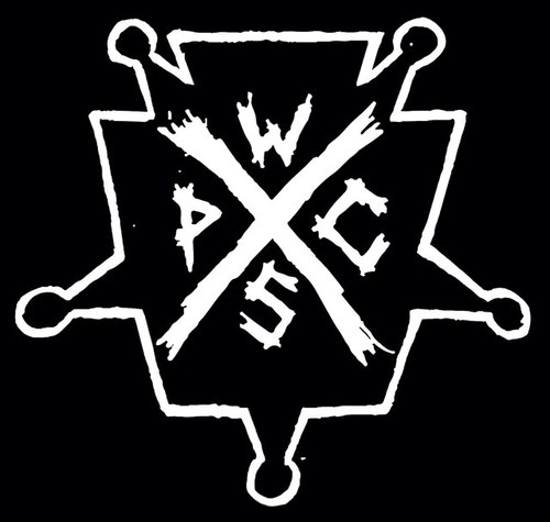 SEMINAL PITTSBURGH PUNK ROCK http://t.co/W3tx370y0p