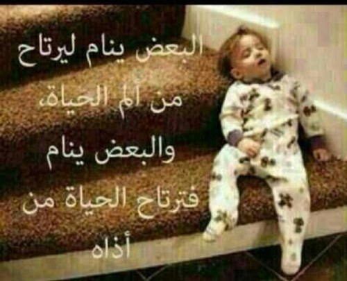 AlshrefAmane's profile picture. 