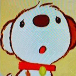 BUMP OF CHICKEN/Snow Man/坂道/すみっコ/犬/猫とか🐾だいたいテレビ見てる