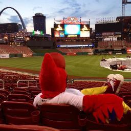 Rangers/Cardinals/Cowboys fan, DevOps engineer, fitness nut.