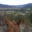 mjcooper55's profile image