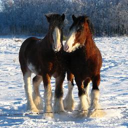 TeeShannon's profile picture. Cycling. Moving Heavy Things. Righting the Wrongs. God-Given abilities. Weimaraners