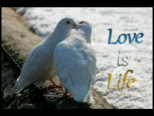 felixm4esteven's profile picture. Am a male, I take my time to do all perfectly well those things I love doing and putting seriousness into every thing that's expected from me.