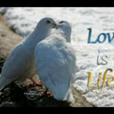 felix stephen - @felixm4esteven - Twitter