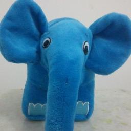 mgdeveloper's profile picture. Lorem ipsum dolor sit amet