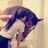 Profile Picture of ♪♥←غــــــــلآ (@@Mla4_al_RoOo7) on Twitter