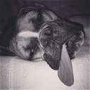 Brenton James - @Mr_BJames - Twitter