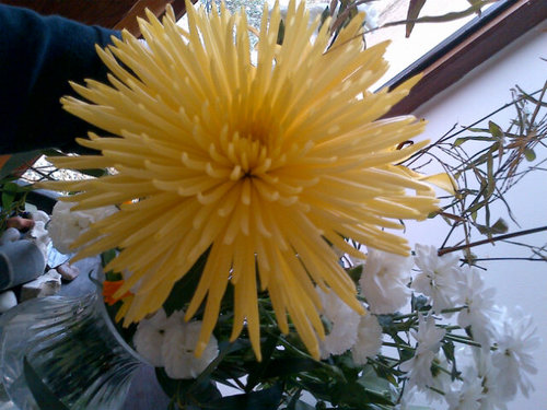 BremnerJenny's profile picture. Generally interested General Practitioner