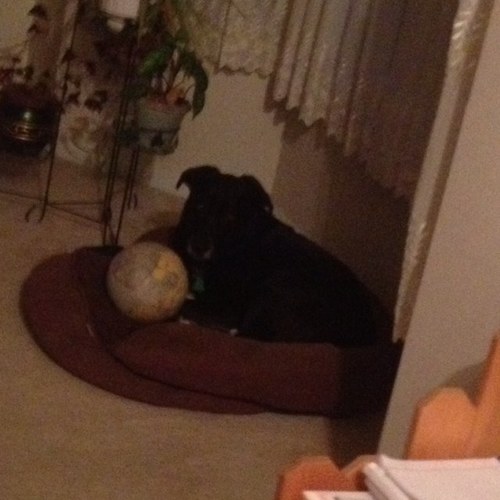 Acey_Boi's profile picture. Brother of @seedice @nicedicea @mortgagemike. Son of @paperboy52 and Patty. Love life, running, playing ball, and sharing @nicedicea food