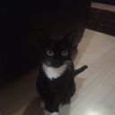 Andrea Barry - @annie_b82 - Twitter