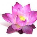 Women_InnerFit's profile picture. Today you are one step closer to a new you where you feel empowered and on a positive path to growth and well-being.