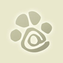 revistacanina's profile picture. 