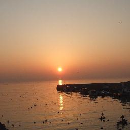 cenk2435's profile picture. 