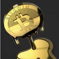 bitcoinologist_'s profile picture. The Bitcoinologist......here to make sure gov't falls, banksters break, and a new era of freedom, privacy and liberty arise for us, the citizens under tyranny.