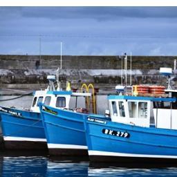 Seahouses Food and Craft Market - Started 2012. About 10 - 15 traders set up stalls outside The Bunker selling local produce through summer