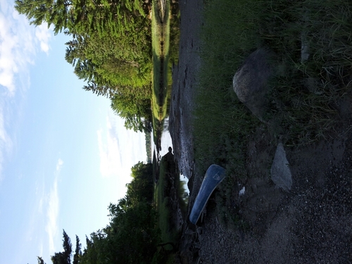 pknbbug's profile picture. 