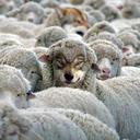 tedward - @TedSnow69 - Twitter