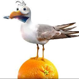 PortakalFilm's profile picture. Portakal Film emeğe saygının ağababası :)