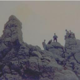 apexcredasst's profile picture. Helping You Reach the Summit of Your Credit Potential