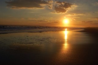 Jacquel87022714's profile picture. Single mom of two adult children.