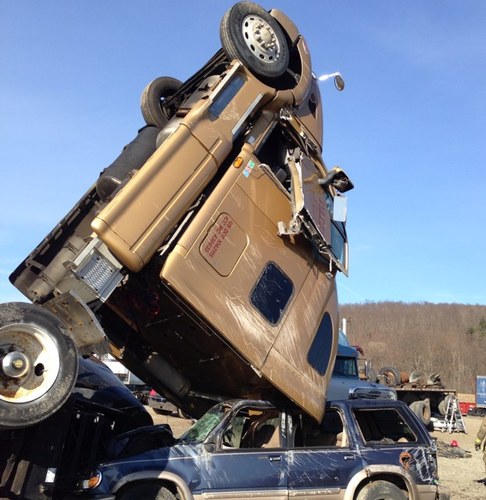 murphymagoo14's profile picture. 