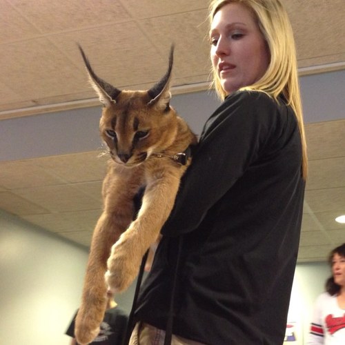 KatieAPCalc's profile picture. 